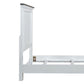 Allyson Park - Panel Headboard