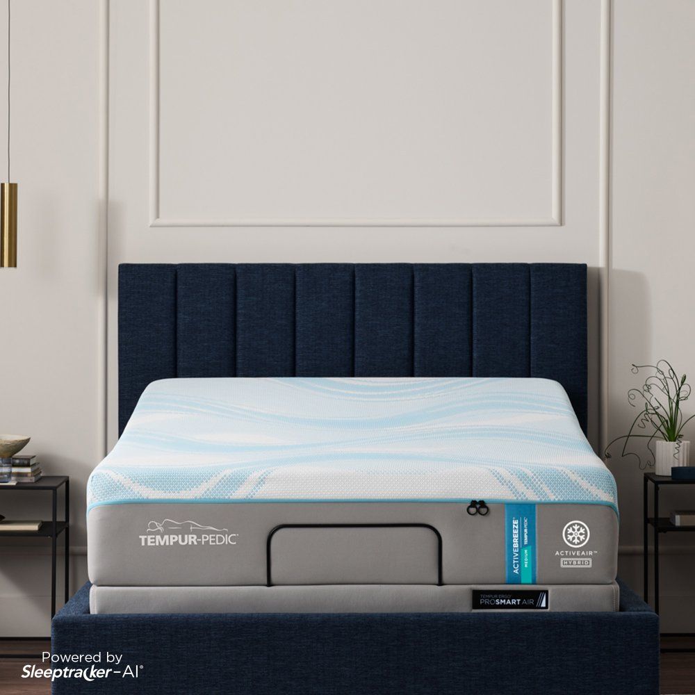 Sleep & Bedding
