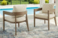 Serene Bay Arm Chair With Cushion (2/CN)