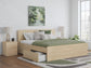 Onita King Panel Platform Bed with 1 Side Storage
