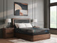 Millennium 2.0 Foam 12 Inch Queen Mattress