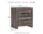 Drystan Full Bookcase Bed with 2 Storage Drawers with Mirrored Dresser, Chest and Nightstand